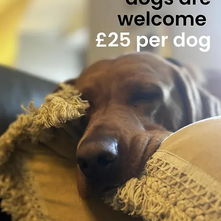 Σπίτι διακοπών Sunny Luxurious 2 Bedroom *